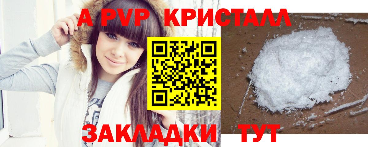 Альфа ПВП СК КРИС Боровичи