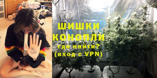 мяу мяу мука Анива