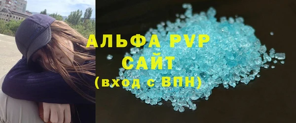 прущие грибы Апатиты