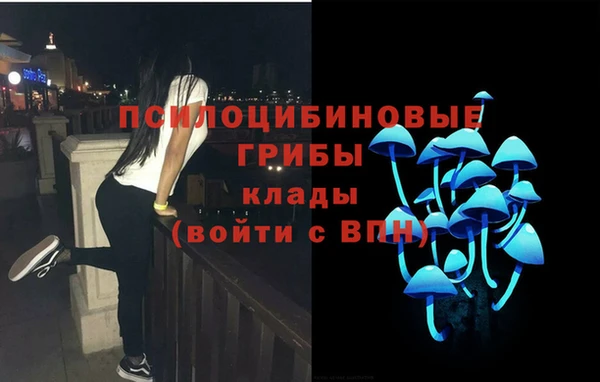 дурь Анжеро-Судженск