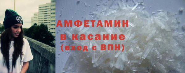 прущие грибы Апатиты