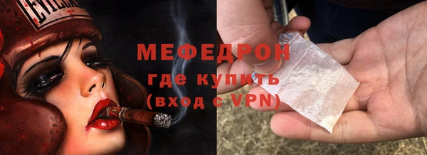 прущие грибы Апатиты