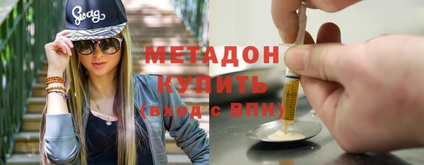 прущие грибы Апатиты