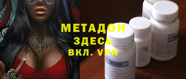 прущие грибы Апатиты