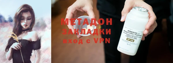 прущие грибы Апатиты