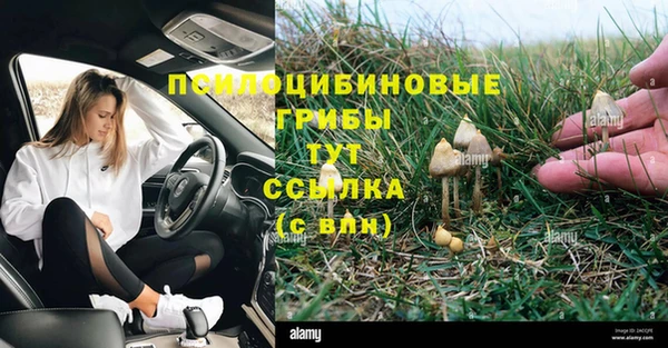 мяу мяу мука Анива
