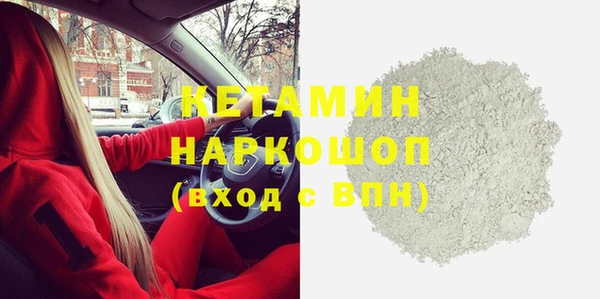 прущие грибы Апатиты