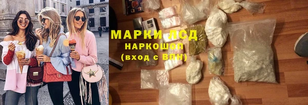 прущие грибы Апатиты