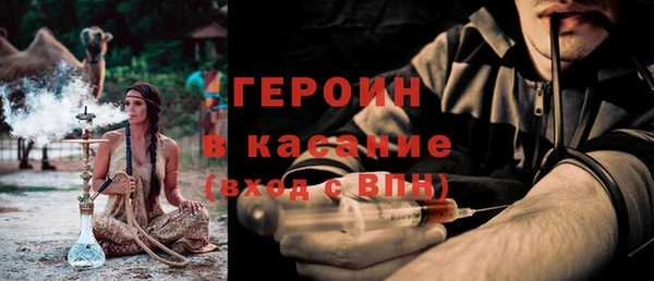 прущие грибы Апатиты