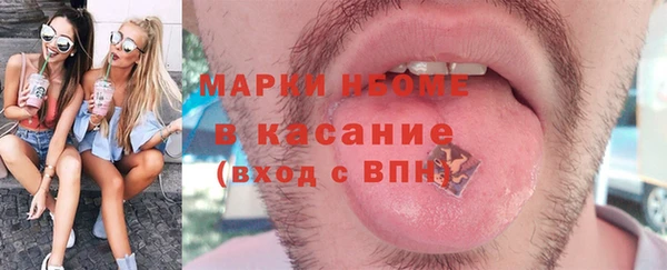 прущие грибы Апатиты