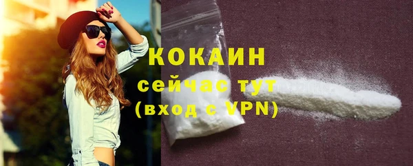 прущие грибы Апатиты