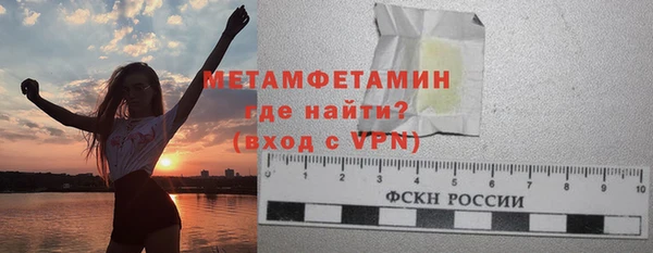 прущие грибы Апатиты