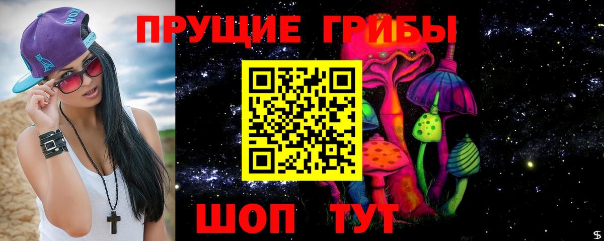 Галлюциногенные грибы Cubensis Боровичи